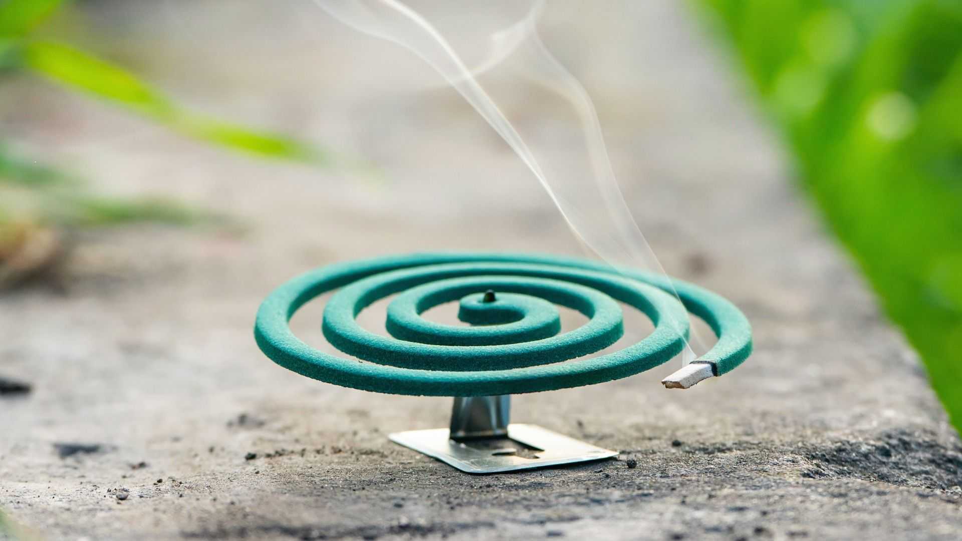 Smoking mosquito coil on a small stand outdoors, with thin wisps of smoke rising against a blurred green background.